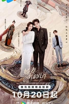 娇妻芳龄几许
