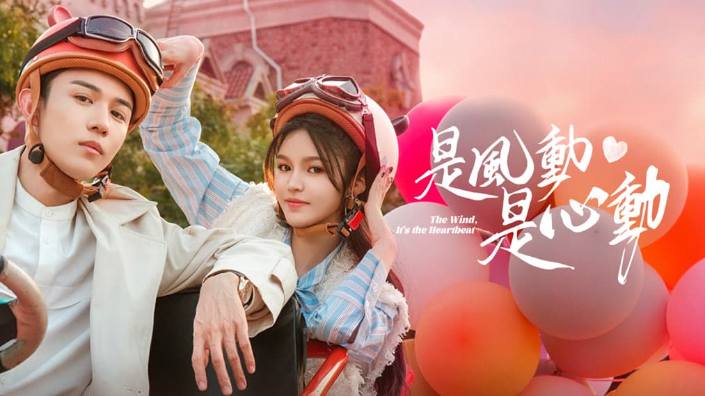 是风动、是心动在线观看高清版，24集甜虐重逢越看越有感觉