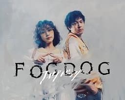 雾中之犬