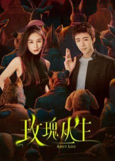 《玫瑰丛生》最上头的不是小贝太完美,而是李晓兮试了十四次才发现自己先动心了