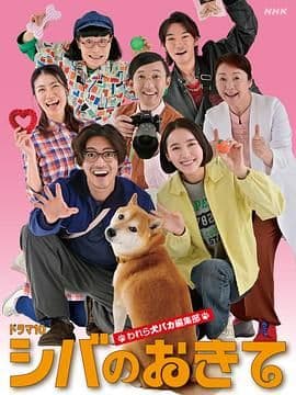 柴犬的规矩我们这群狗痴编辑部完整版在线播放:一群怪咖和一只柴犬,把编辑部拍成治愈日剧