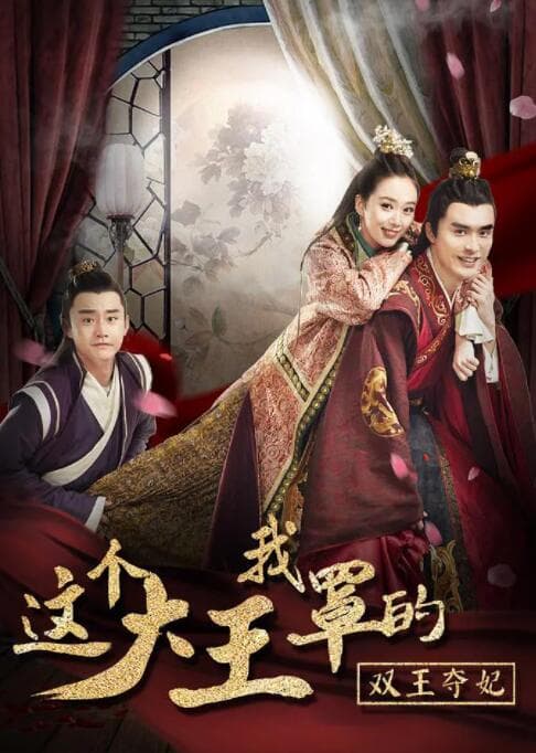 这个大王我罩的:双王夺妃