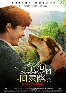 一条狗的回家路(原声版)