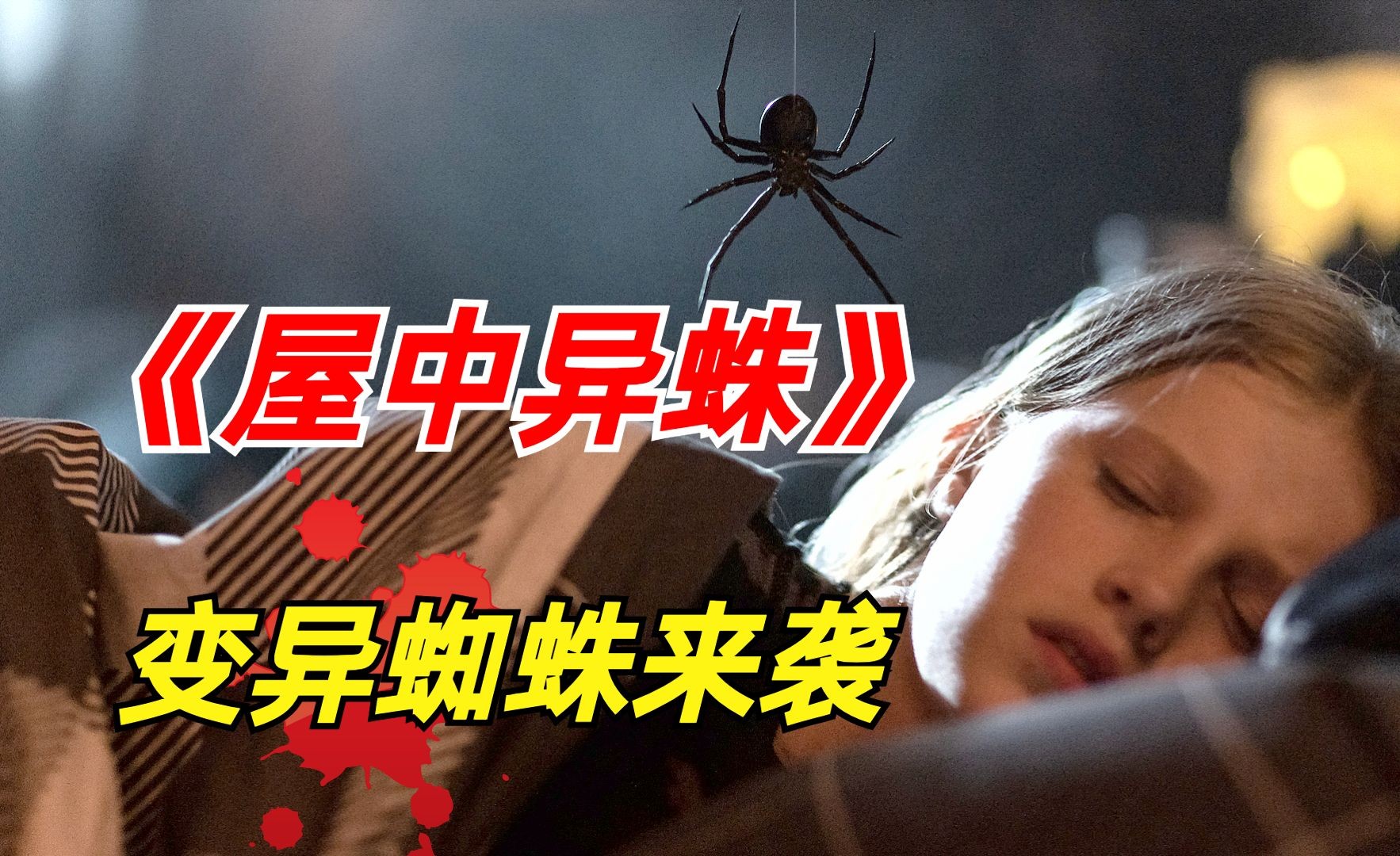 《屋中异蛛》：蜘蛛恐惧的血腥觉醒