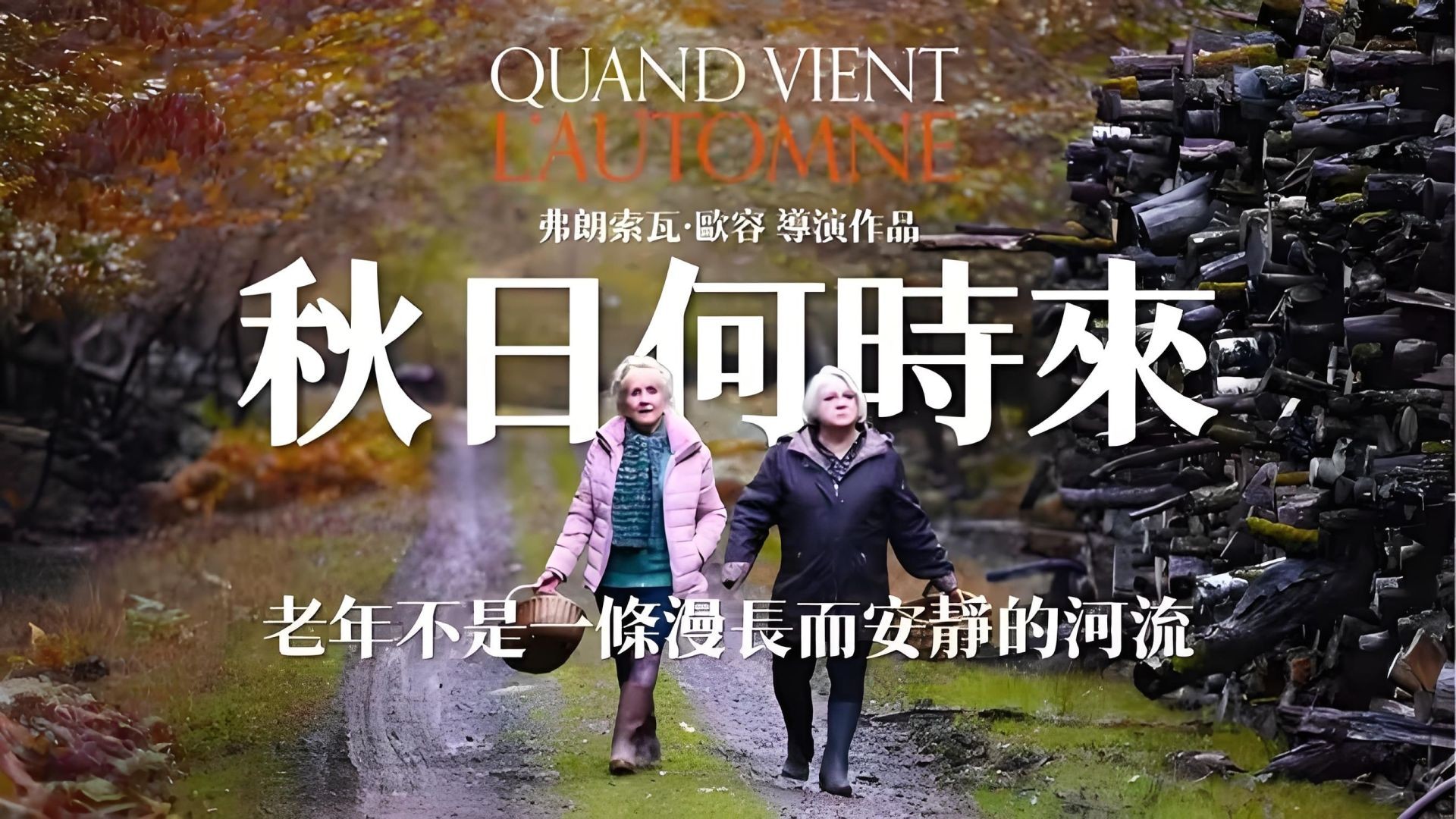 《秋日何时来》深度解说：乡间秋季的家庭裂痕与情感救赎！